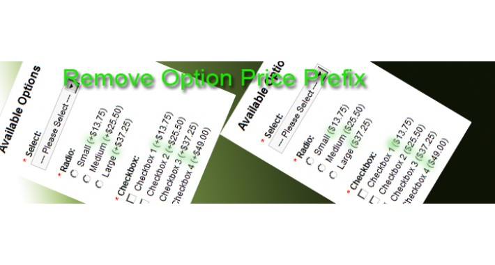 Remove Product Option Price Prefix