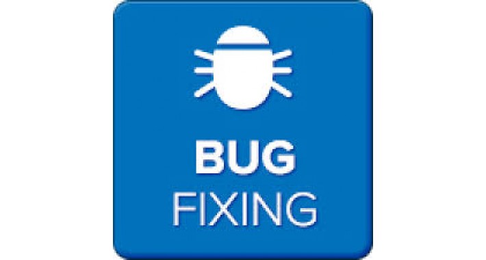 Bug Fix FTP Error