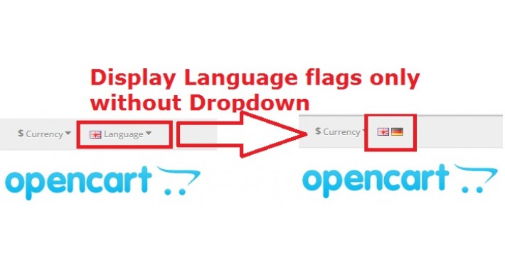 Display Language Flags Only
