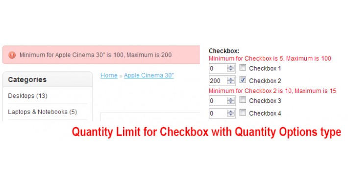 Quantity Limit for Checkbox with Quantity Options type
