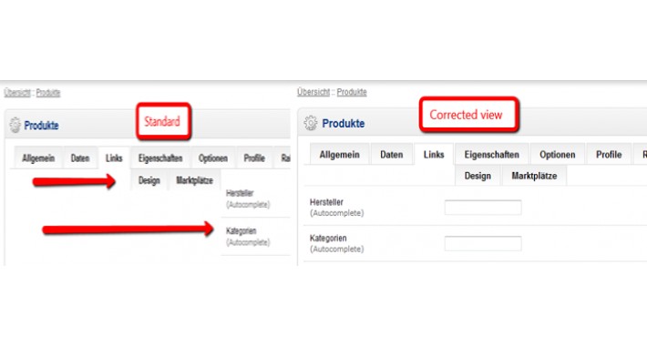 Admin Fix Productform