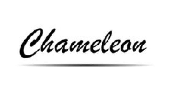 Chameleon - Premium Responsive Theme