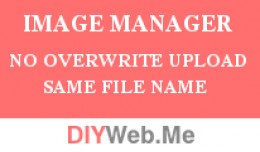 Upload Image With Same File Name Auto Rename - N..