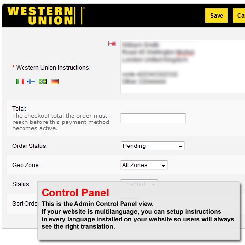 western union bug website