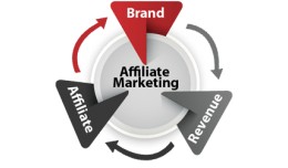 Affiliate network (Miniature version)