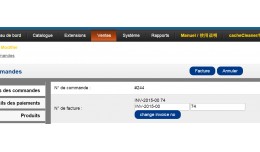 Change Invoice Number