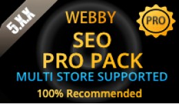 SEO TOOL ALL IN ONE PRO PACK Multi Store Ver6.x...