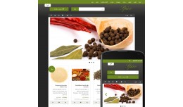OpenCart 2 Theme Sky Spice Grass