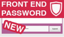 Password Protect Your Front-End - Customizable