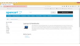 Filter Seo Friendly Url