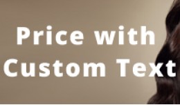 Price with Custom Text