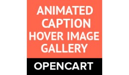 Animated Caption Hover Image Gallery