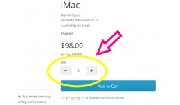 [NEW] Plus-Minus Quantity Buttons for Products -..