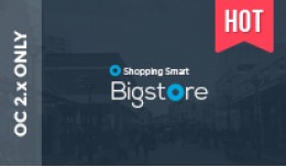 Pav BigStore - Responsive Opencart 2.0 Theme