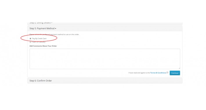 PayPal to Pay By Credit Card - Word Change
