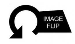 Image flip
