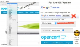 Google Translate Over 100 Languages