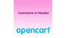 Username in Header