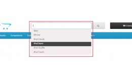 Search Input Auto Complete