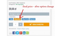 option price update after change