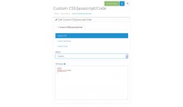 Custom CSS, Javascript and Code