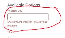URL-based Validation Option
