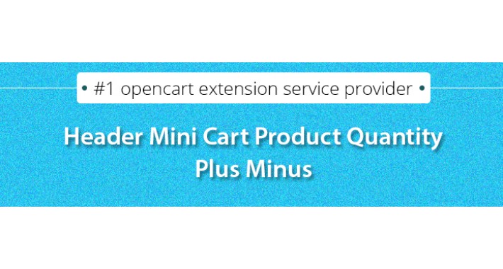 Header Mini Cart Product Quantity Plus Minus