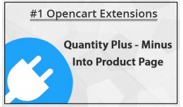 Quantity Plus - Minus Into Product Page