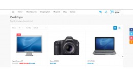 SubcategoryProducts