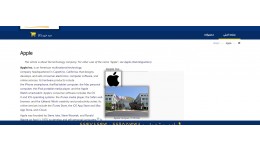  Manufacturer Description