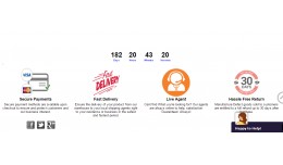 General Countdown Sale Timer