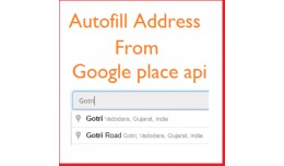 Autofill address on registration page