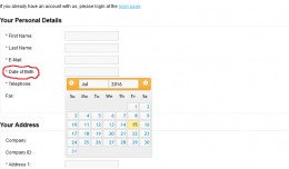 Custom field beta version