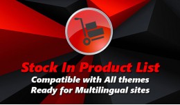 Stock in Product List