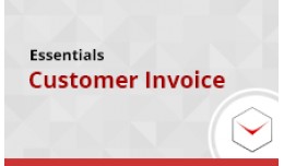 Customer Invoice pdf (e-copy or printing)