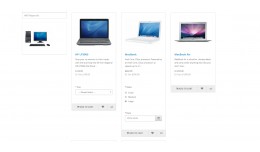 Product list with options