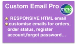 Custom Email PRO