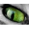 shaft shaft