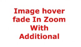 Product Image hover fade In Zoom With Additional..