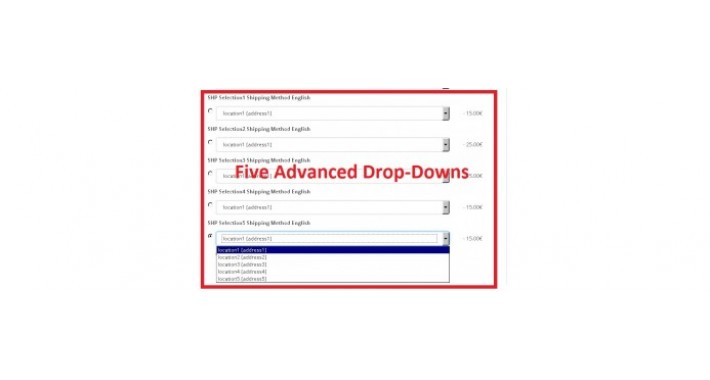 Five Advanced Drop-Downs Shipping Method