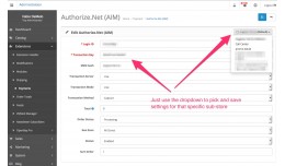 Authorize.net for Multi-Store 