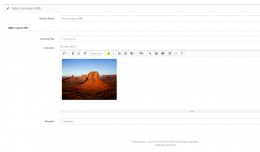 Desabilitar o Editor de texto na inserção de c..