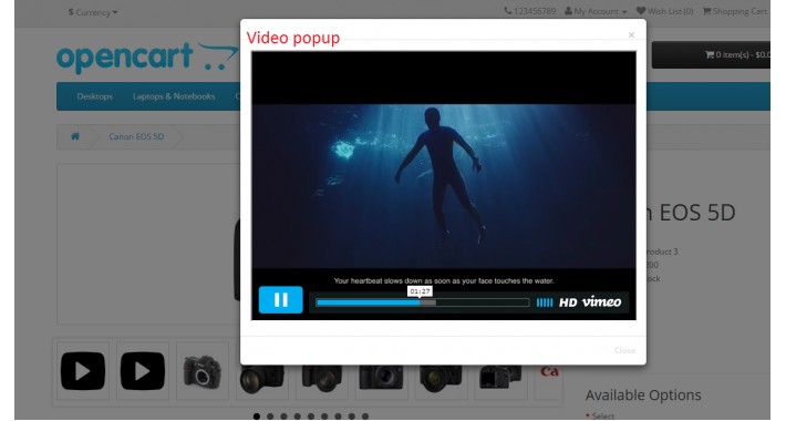 Product with Image/Video Gallery