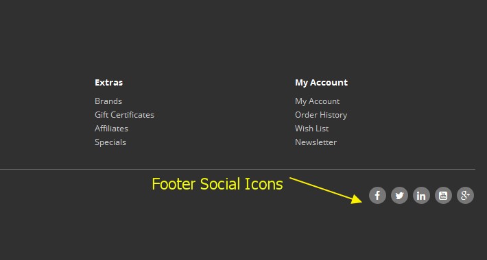 Footer Social Icons