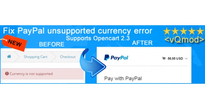 PayPal Pay in Local Currency