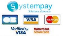 Systempay - Cyberplus - BP-CE - Partenaire Offic..