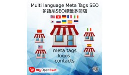 Slasoft  Multi language Meta Tags SEO Multi-Store