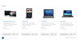 Pagination for Latest Module (v3.0.2)