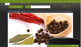 OpenCart 3 Theme Sky Spice Grass