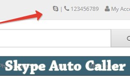 Skype Auto Caller
